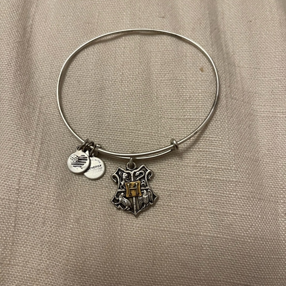 Alex + Ani Harry Potter medallion charm.